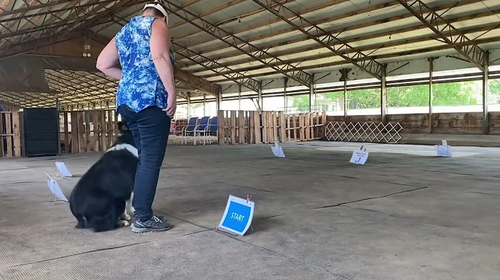 "Jet" Event #112420 Level 2 | Module 1 of 2