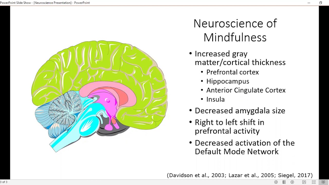 Neuroscience of Mindfulness - YouTube