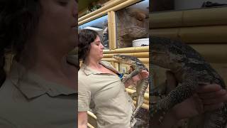 This Monitor Lizard Tried To Bite Me😳😅