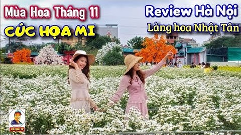 Review VƯỜN CÚC HỌA MI - LÀNG HOA NHẬT TÂN - BÃI ĐÁ SÔNG HỒNG Tháng 11 I Du Lịch Hà Nội I XÊ DỊCH TV