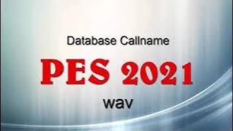 Database Callname PES 2021 WAV