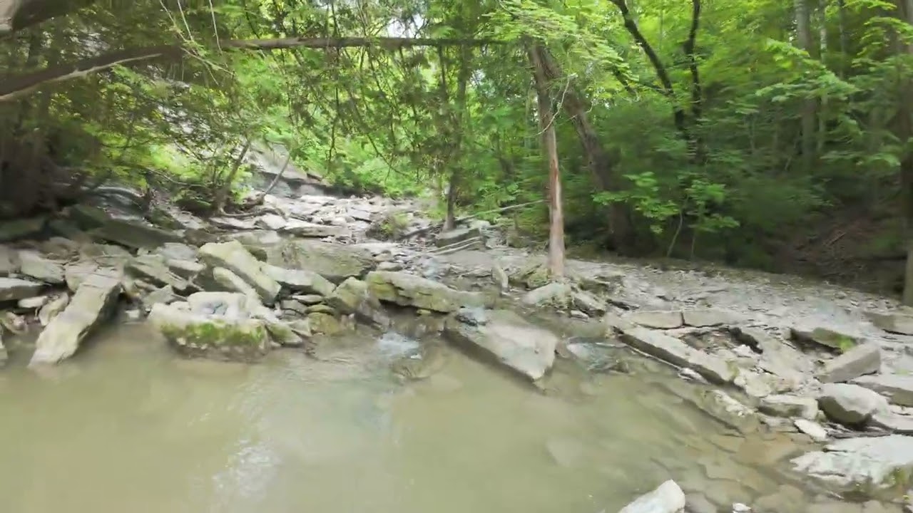 Rock Glen conservation area, June 30, 2025