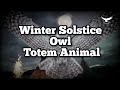Shamanic Drumming🎧Winter Solstice 2.0 "Owl Totem Animal"