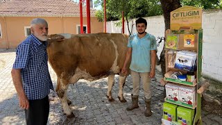 BÜYÜKBAŞ HAYVANLARDA TIRNAK BAKIMI