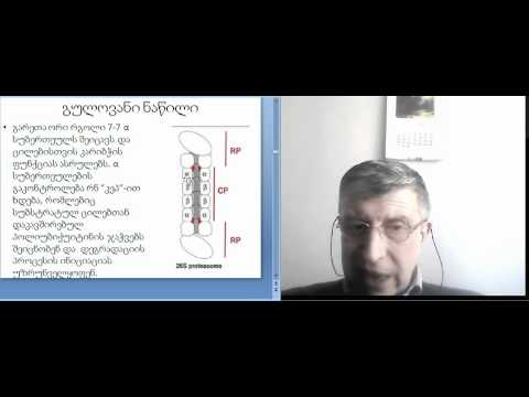 რ.სოლომონია; მოლეკულური ბიოლოგია - 11-2