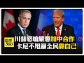國際貿易緊張局勢