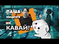 Кавай? [ПАША В КВАДРАТЕ]