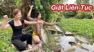 Câu Cá Rô Đồng Theo Sông 2 Gái Xinh Giật Liên Tục Toàn Cá Rô Khủng