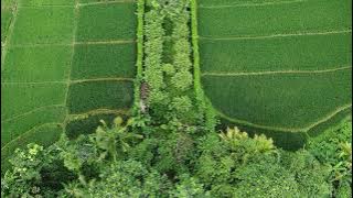 Hidden Wonders of West Java: Exploring Sundanese Culture & Indonesia’s Natural Beauty