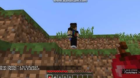 Pet Slow 1.12.2 Forge & 1.14.4 Fabric Mod Overview