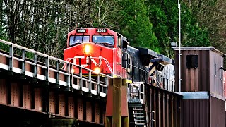 Wildlife And CN Double Stack Train Over Harrison Mills Interlocking Bridge!