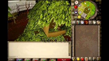 Lost-Isle OSRSPS | Seers Village Rooftop Agility