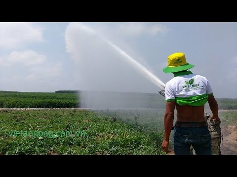 Video Súng tưới cây bán kính 100m Nodolini S80 Super (Việt... - youtube