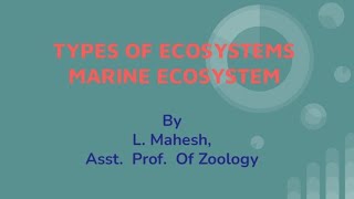 Marine Ecosystem