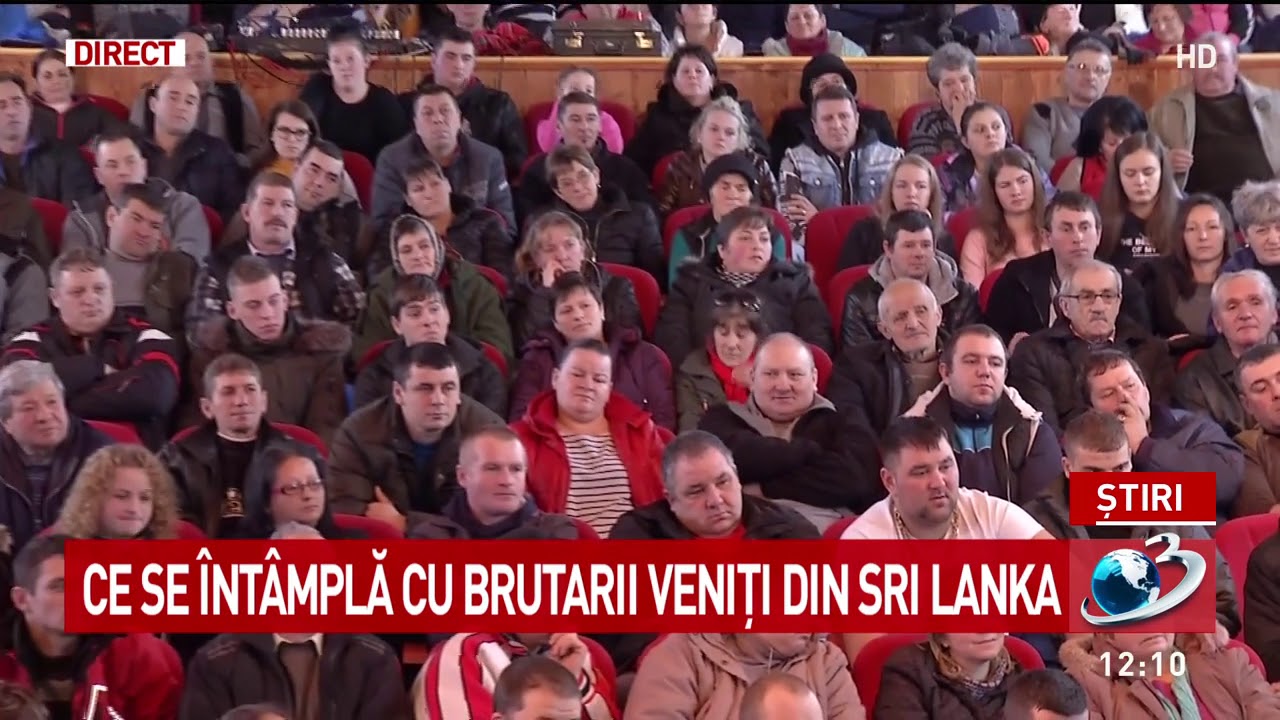 Ședință după răscoala împotriva imigranților de la Ditrău