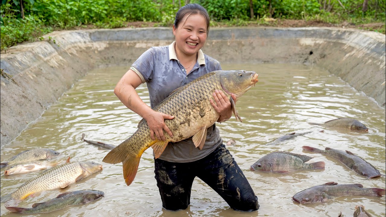 So happy! I Caught Over 100kg of Fish From the Pond and Brought Them to the Market to Sell.
