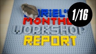Sariel's Monthly Workshop Report 1/2016