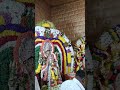 Annammadevi utsava in our area