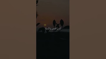 نحن نقص عليك احسن القصص | محمد صديق المنشاوي | سورة يوسف