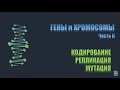 ГЕНЫ и ХРОМОСОМЫ. Часть 2 - Кодирование, репликация, мутация [RU] [РУС]