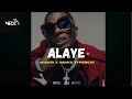 Alaye - Wizkid x Asake x Amapiano Type Beat 2026 Mp3 Song