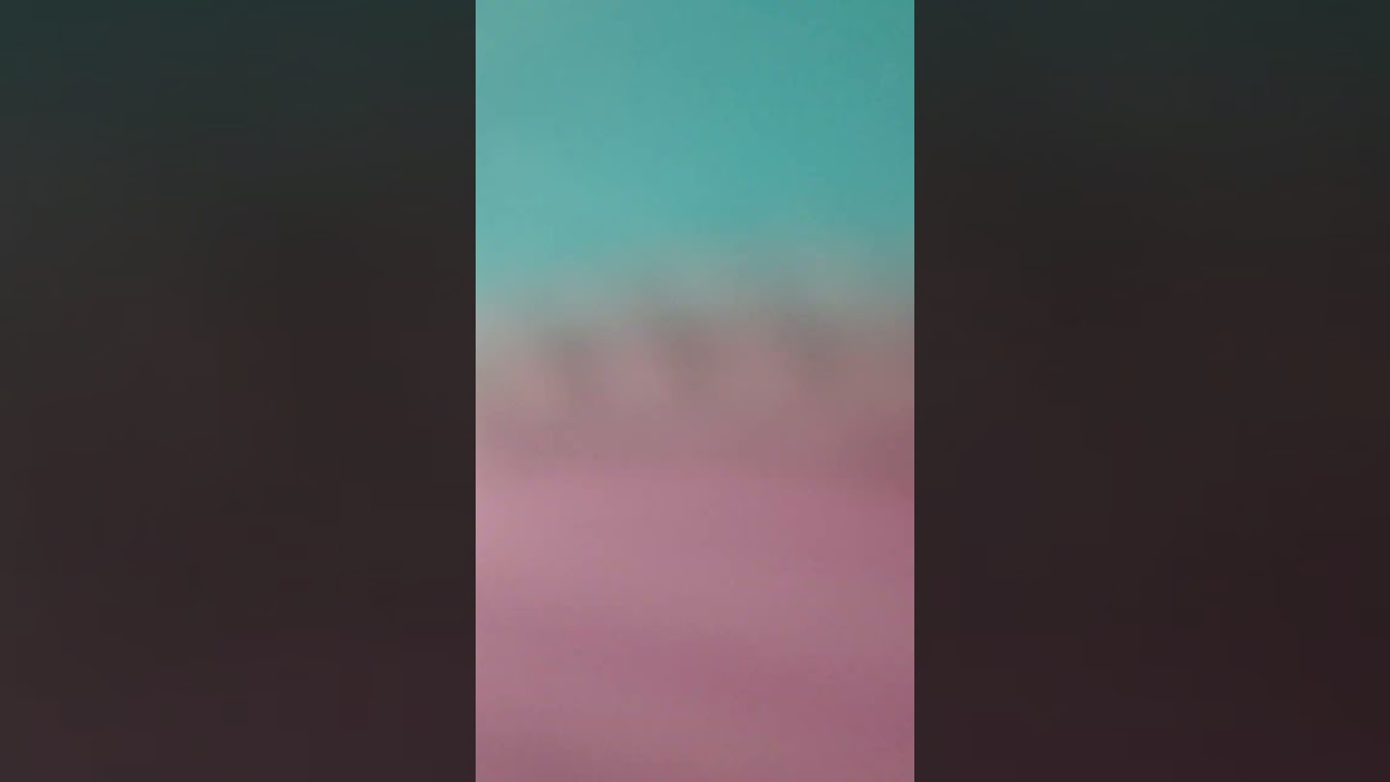 pbs viacom телефон игрушка