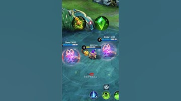 ✅ Diggie Shield Tutorial by Renyaaa