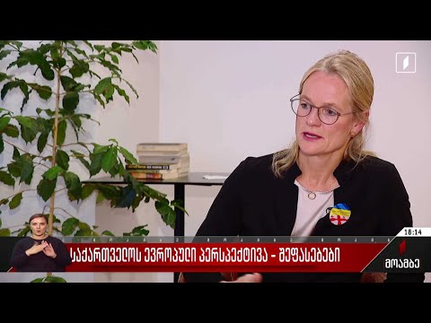 საქართველოს ევროპული პერსპექტივა - შეფასებები პოლიტიკურ სპექტრში