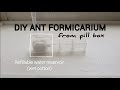 DIY Ant Formicarium with Cheap Pill Boxes | Founding Queen Ants | ANTS DIY