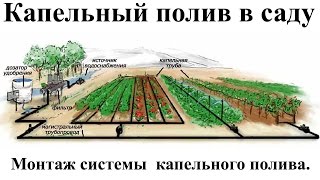 Смотреть видео Где купить оборудование на капельный полив