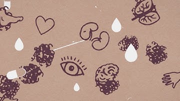 The Human Protein Atlas Project