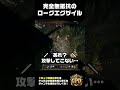 【PoE2】完全無抵抗のローグエグザイル、現る。 #pathofexile2 #poe2 #バグ？
