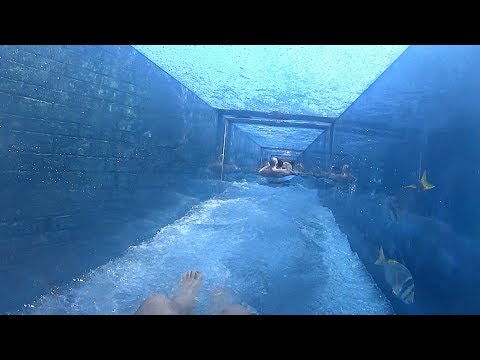 Fish Tank Water Slide at Atlantis