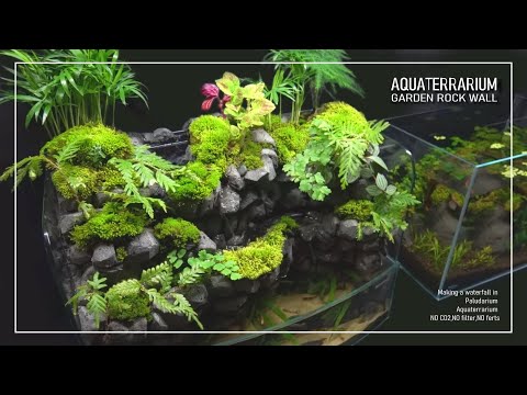 Making a waterfall Paludarium For Guppy Fish l stepbystep l No filter l No co2 l Aquaterrarium