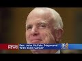 Senator John McCain Diagnosed With Brain Cancer Following Removal Of Blood Clot