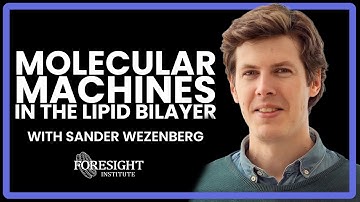 Sander Wezenberg | Artificial Molecular Machines Operating in the Lipid Bilayer