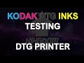 Kodak DTG Inks Testing on Epson L1800 Castle Design with Affordable DTG Printer Florida