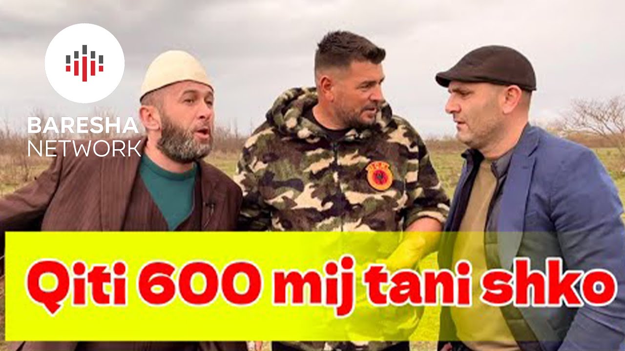 Dajm kur nuk e nigon Biben ngulesh bre Martin