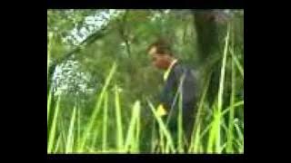 TERMENUNG  by TAMSIL ROSHA  Creation Elya Kadam