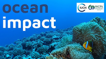 Ocean Impact