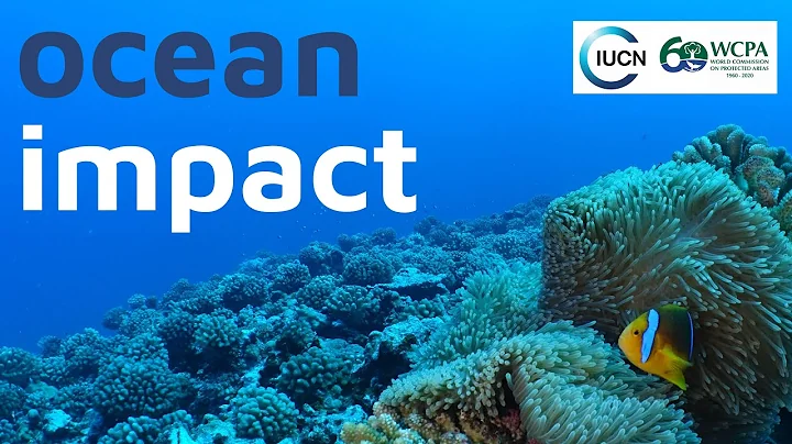 Ocean Impact - 天天要聞