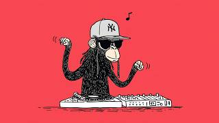 Cool DJ Groove Lo-Fi 🕶️🎛️ | Funky DJ Beats for Creative Focus &amp; Fresh Ideas