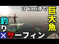 ＃１サーフィンしながら釣りをしたら巨大魚が・・・　【SUPフィッシング】