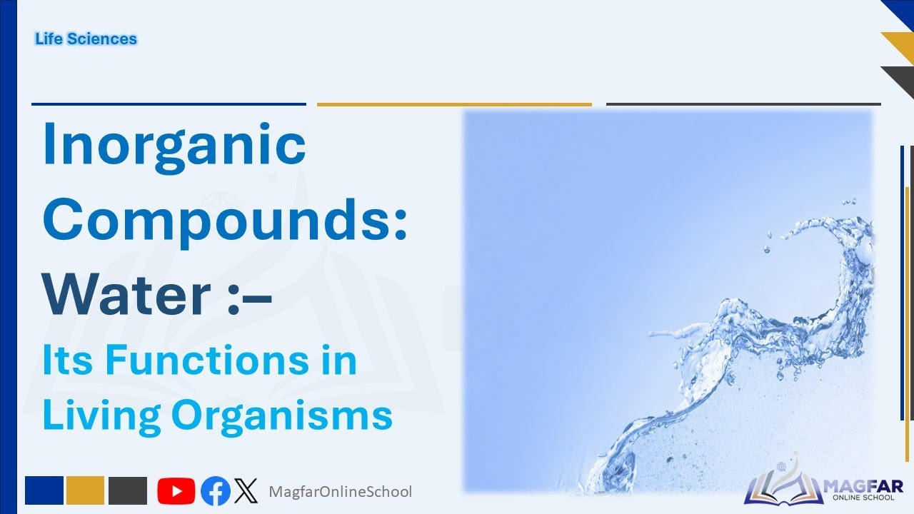 Inorganic Compounds Water Inorganic Compounds | Water and Its Functions in Living Organisms ...