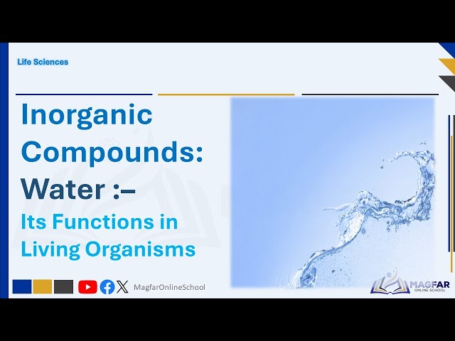 Inorganic Compounds Examples Biology