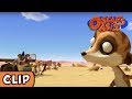 Oscar's Oasis - Litt'l Baby Meerkat | HQ | Funny Cartoons