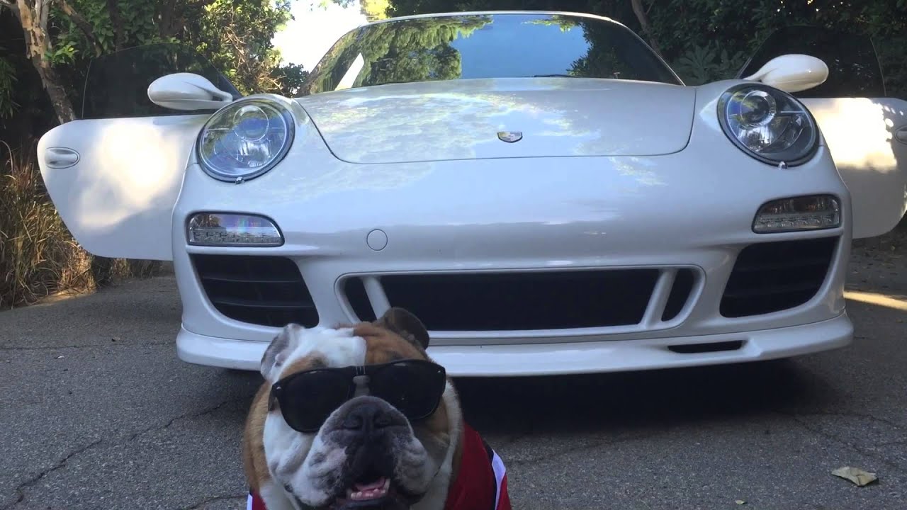 First Let Me Hop Out The Mutha Fuckin Porsche Butterball The Bulldog T Wayne Nasty Freestyle Dog 911  First Let Me Hop Out The Mutha Fuckin Porsche Butterball The Bulldog T Wayne Nasty Freestyle Dog 911