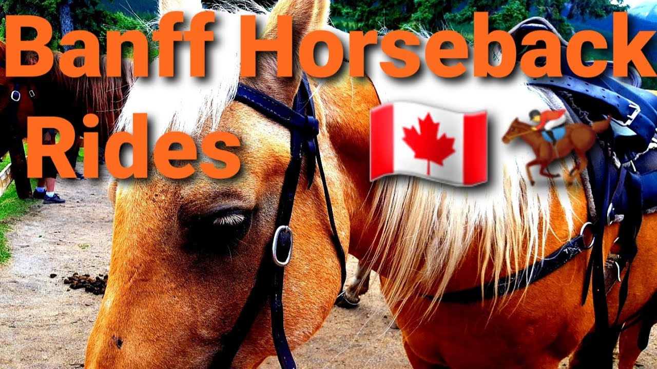 Banff Horseback Rides /Banff Trail Riders/  Banff Alberta Canada 🇨🇦