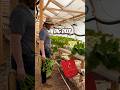 Look deep inside. #hydroponics #farming #motivation
