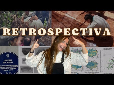 2025 in Brazilian archaeology